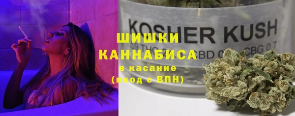 дживик Аркадак