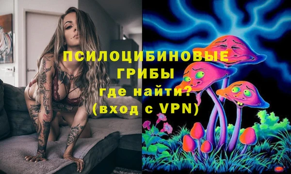 дживик Аркадак