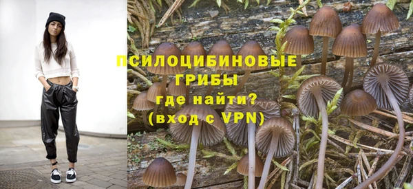 дживик Аркадак
