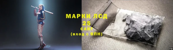 дживик Аркадак