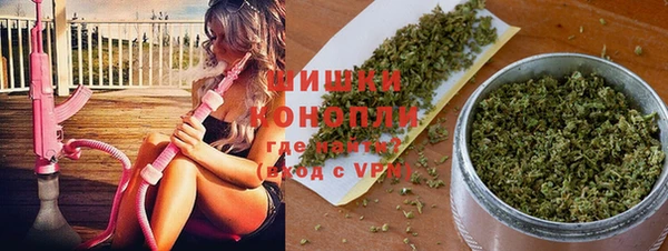 дживик Аркадак