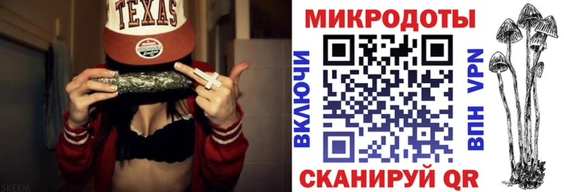 Галлюциногенные грибы Psilocybe Краснотурьинск